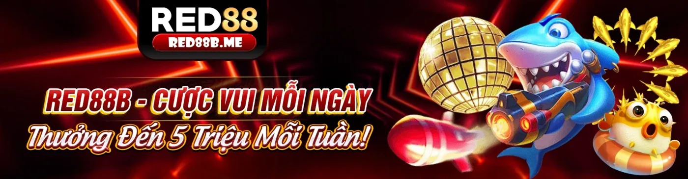 Cá cược trực tiếp SBOBET