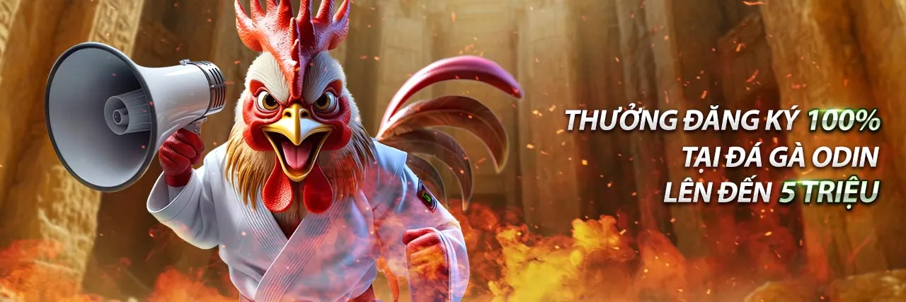 Nghiên cứu thông tin trận đấu